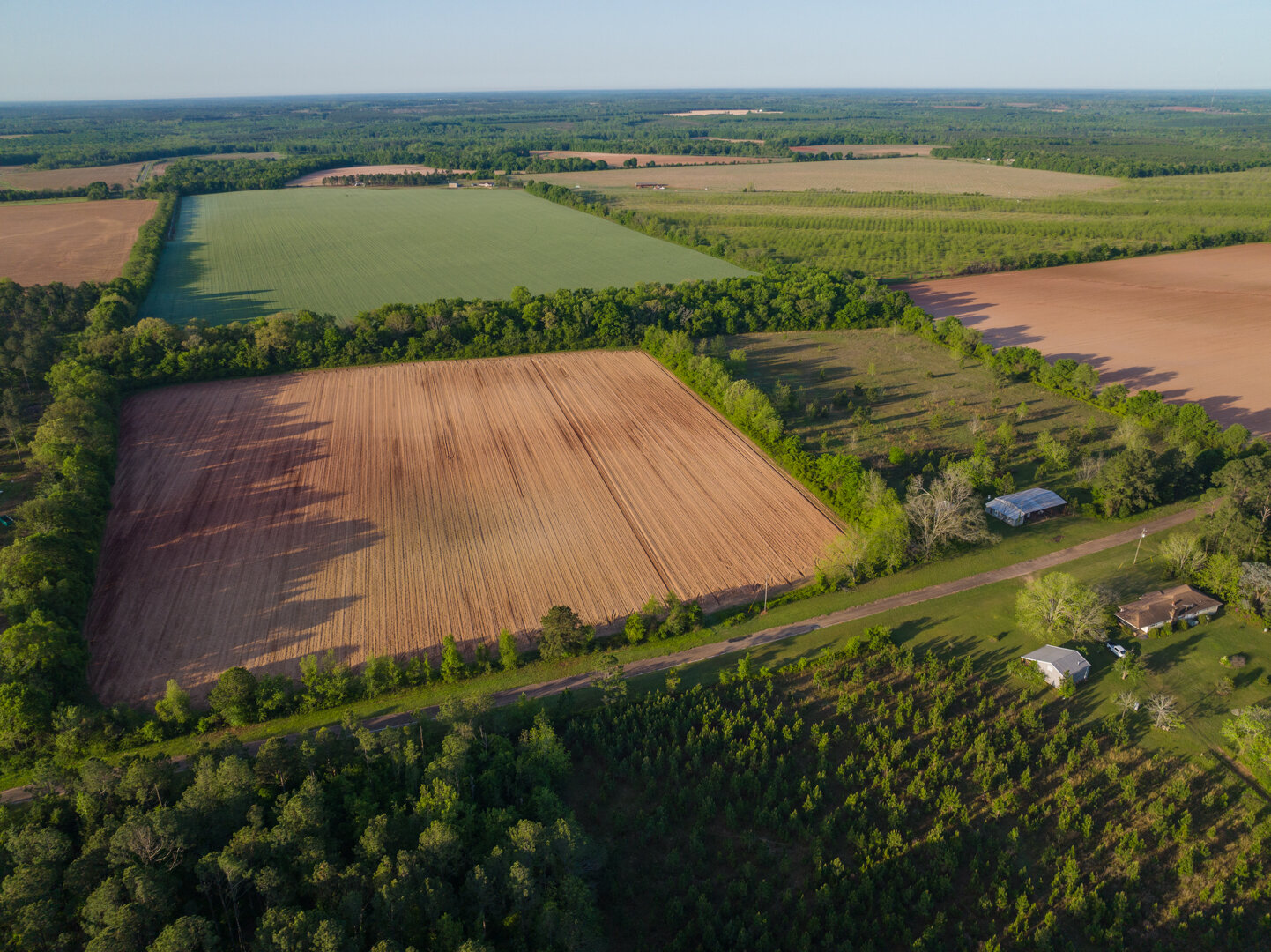 Image for 218+/- Acres Located in Webster County, Georgia - The Wills Estate
