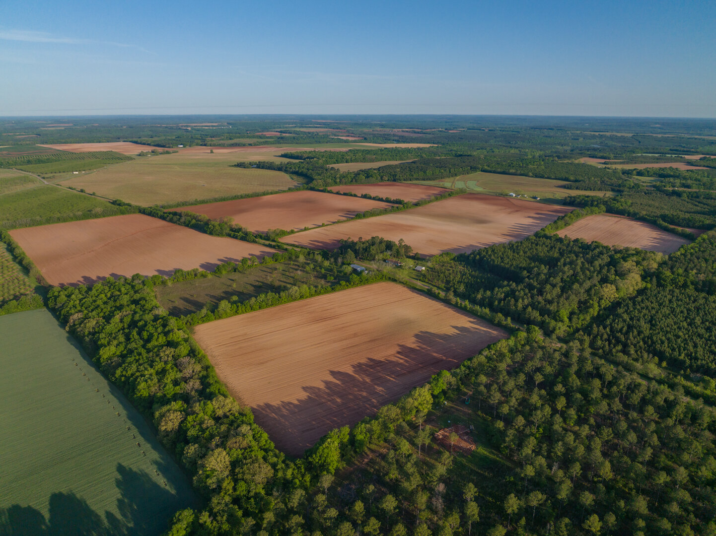 Image for 218+/- Acres Located in Webster County, Georgia - The Wills Estate