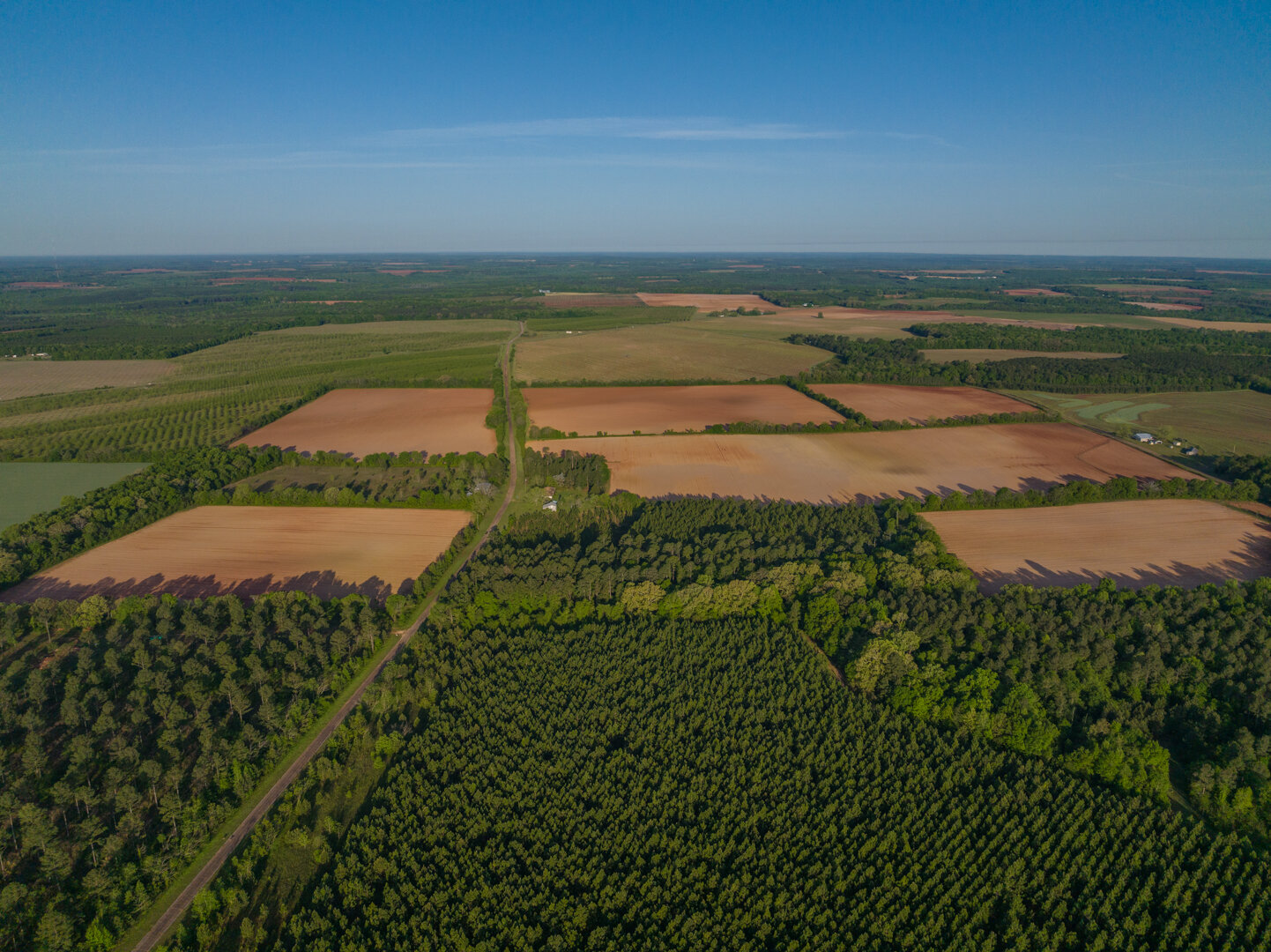 Image for 218+/- Acres Located in Webster County, Georgia - The Wills Estate