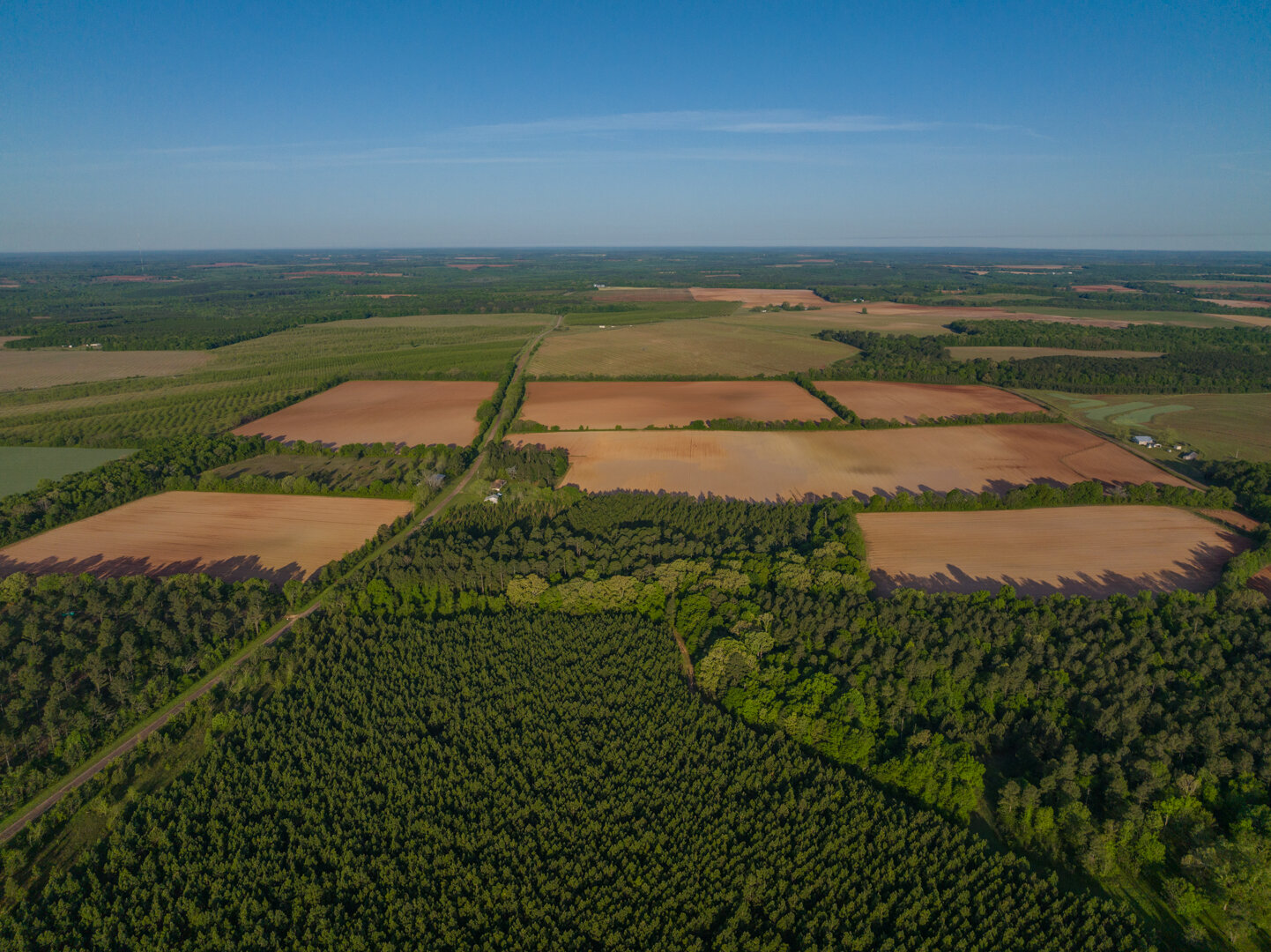 Image for 218+/- Acres Located in Webster County, Georgia - The Wills Estate