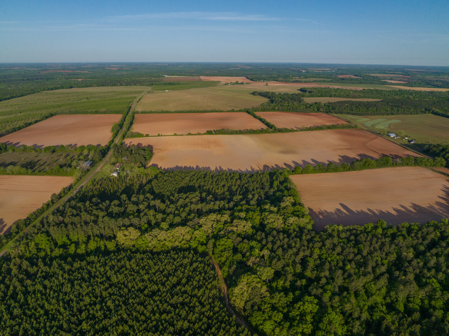 Image for 218+/- Acres Located in Webster County, Georgia - The Wills Estate