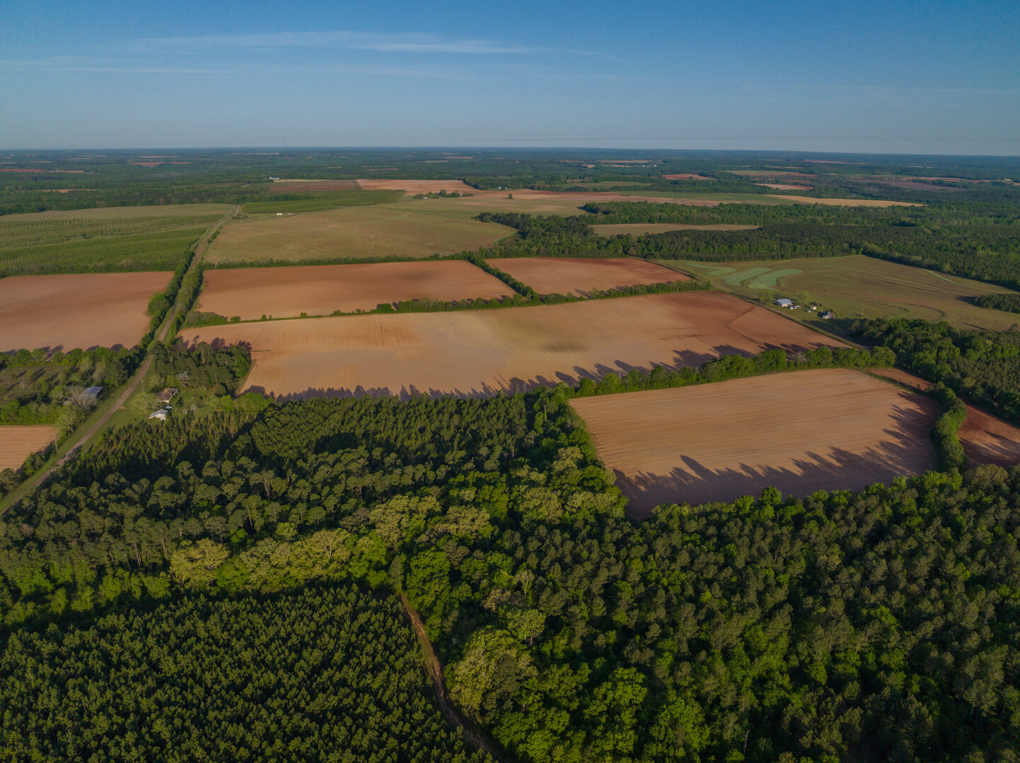 Image for 218+/- Acres Located in Webster County, Georgia - The Wills Estate