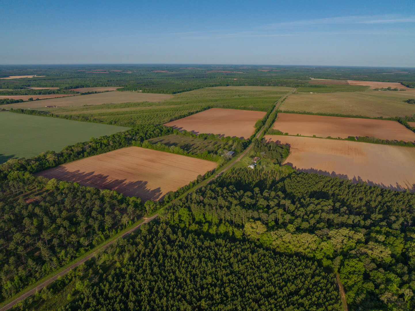 Image for 218+/- Acres Located in Webster County, Georgia - The Wills Estate