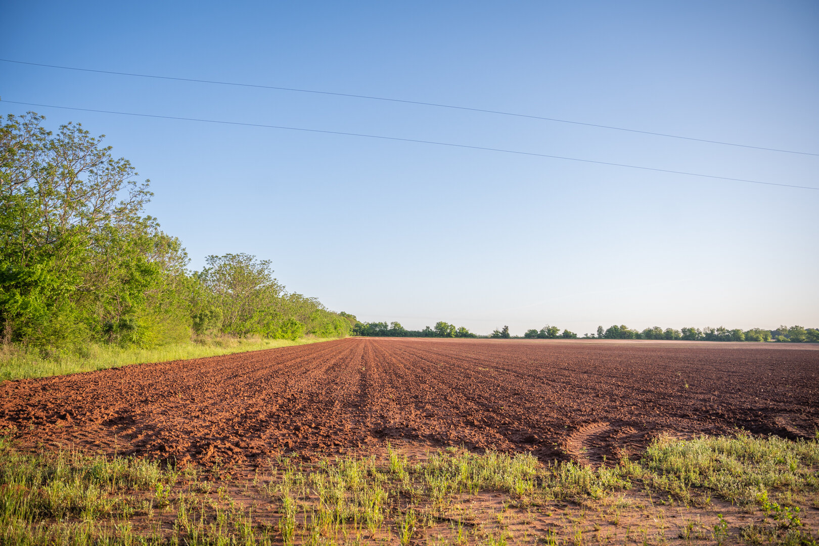 Image for 218+/- Acres Located in Webster County, Georgia - The Wills Estate