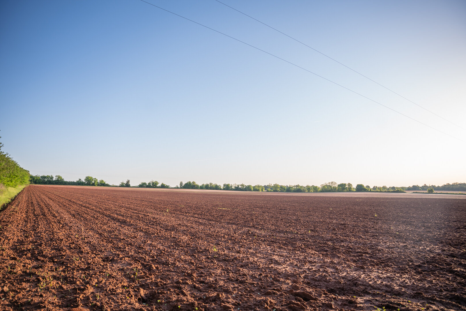 Image for 218+/- Acres Located in Webster County, Georgia - The Wills Estate