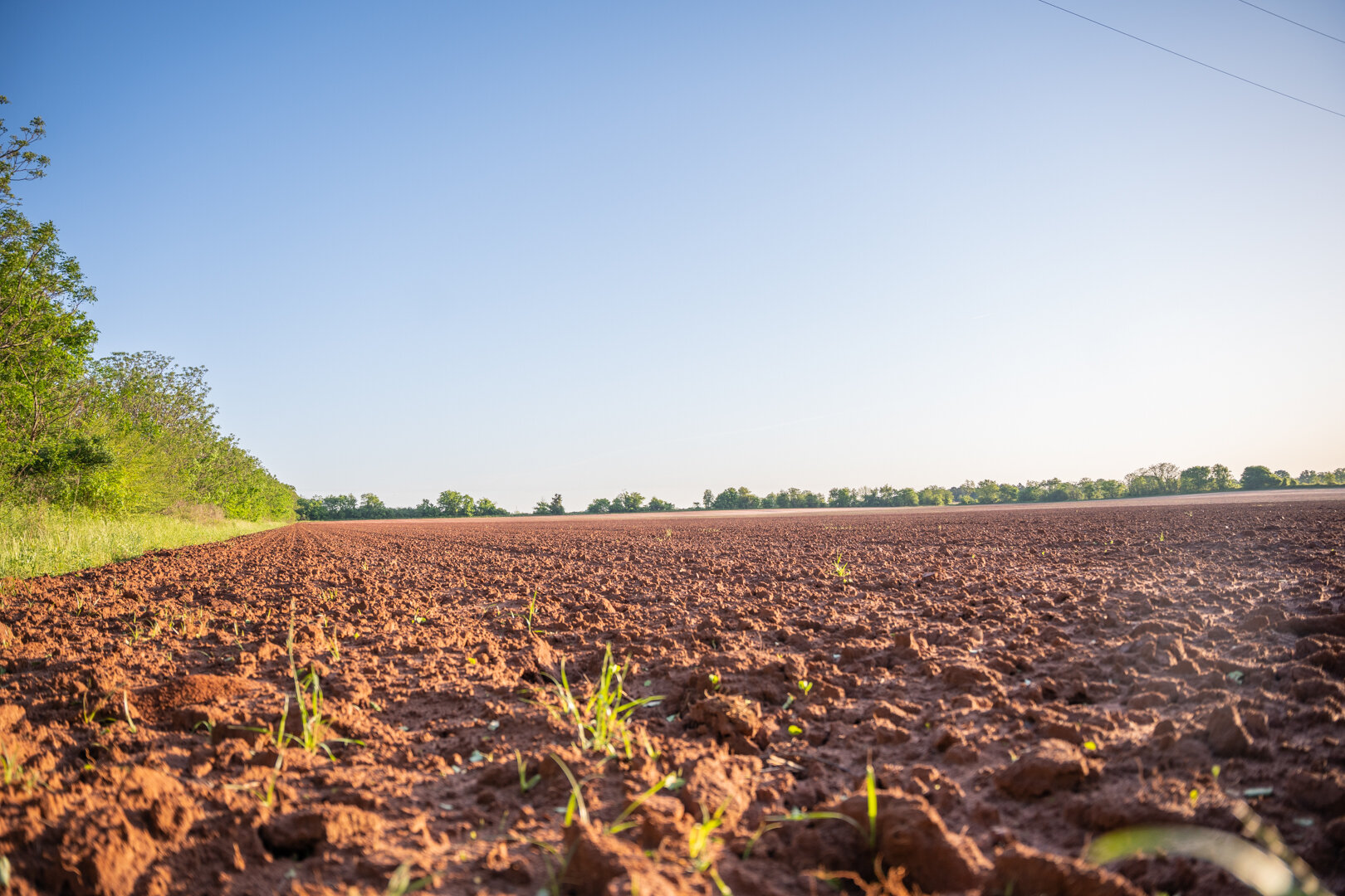 Image for 218+/- Acres Located in Webster County, Georgia - The Wills Estate
