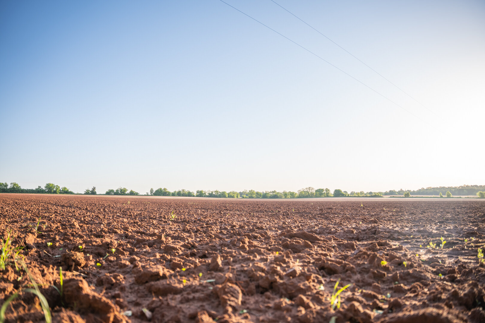 Image for 218+/- Acres Located in Webster County, Georgia - The Wills Estate