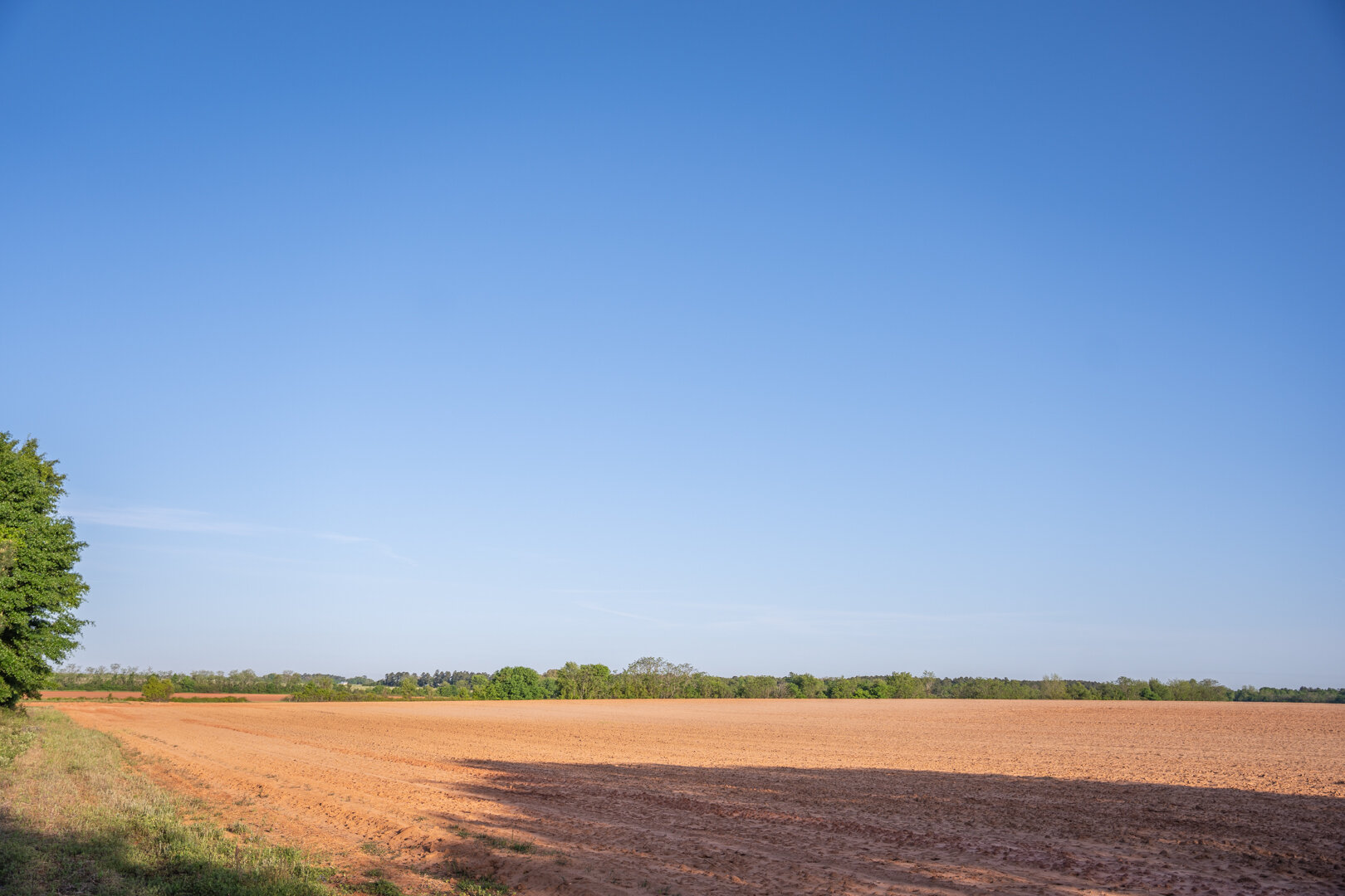 Image for 218+/- Acres Located in Webster County, Georgia - The Wills Estate