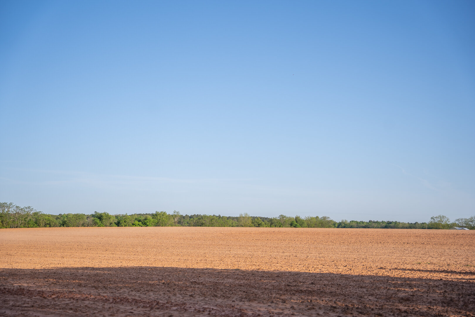 Image for 218+/- Acres Located in Webster County, Georgia - The Wills Estate