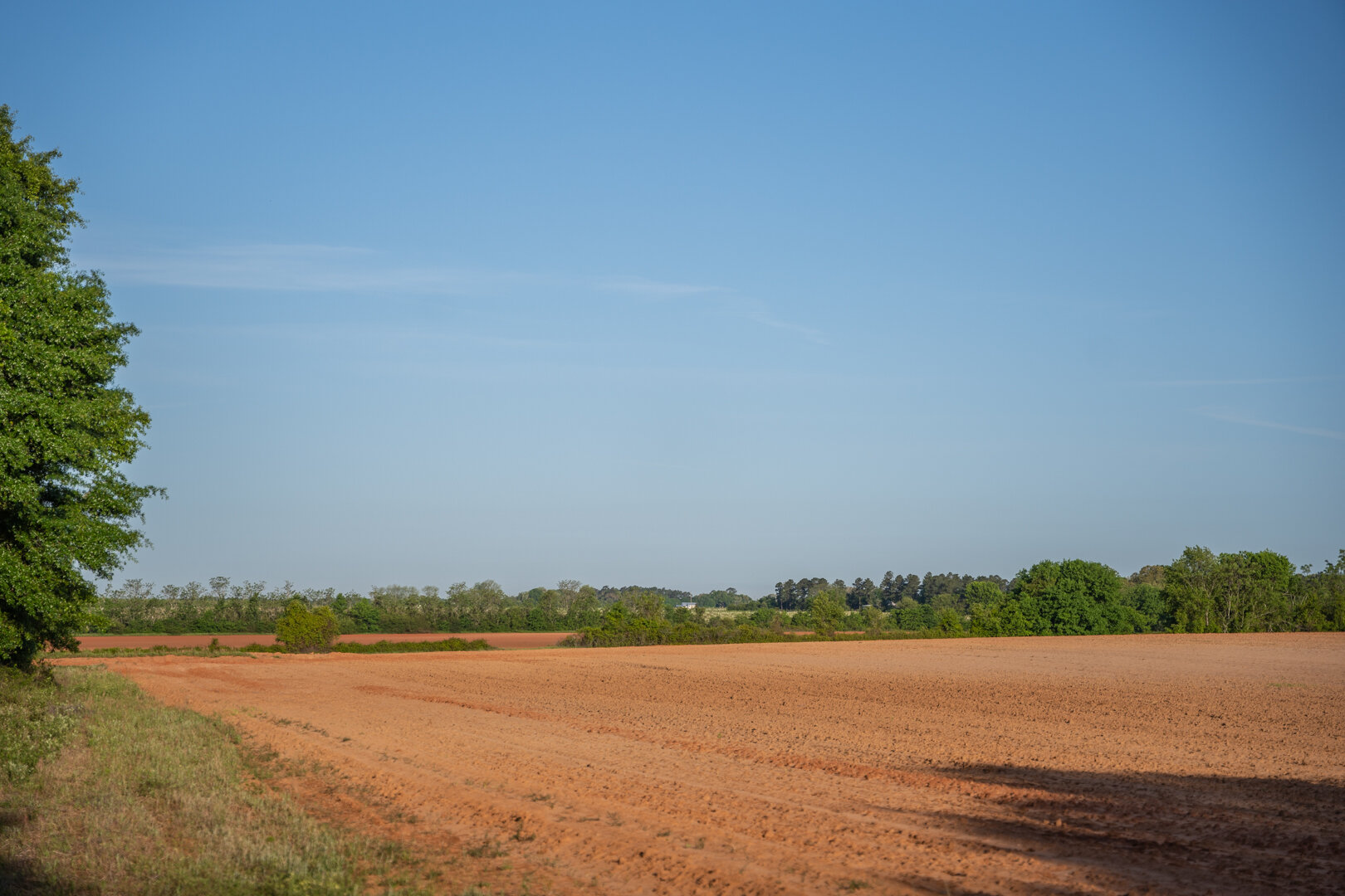 Image for 218+/- Acres Located in Webster County, Georgia - The Wills Estate