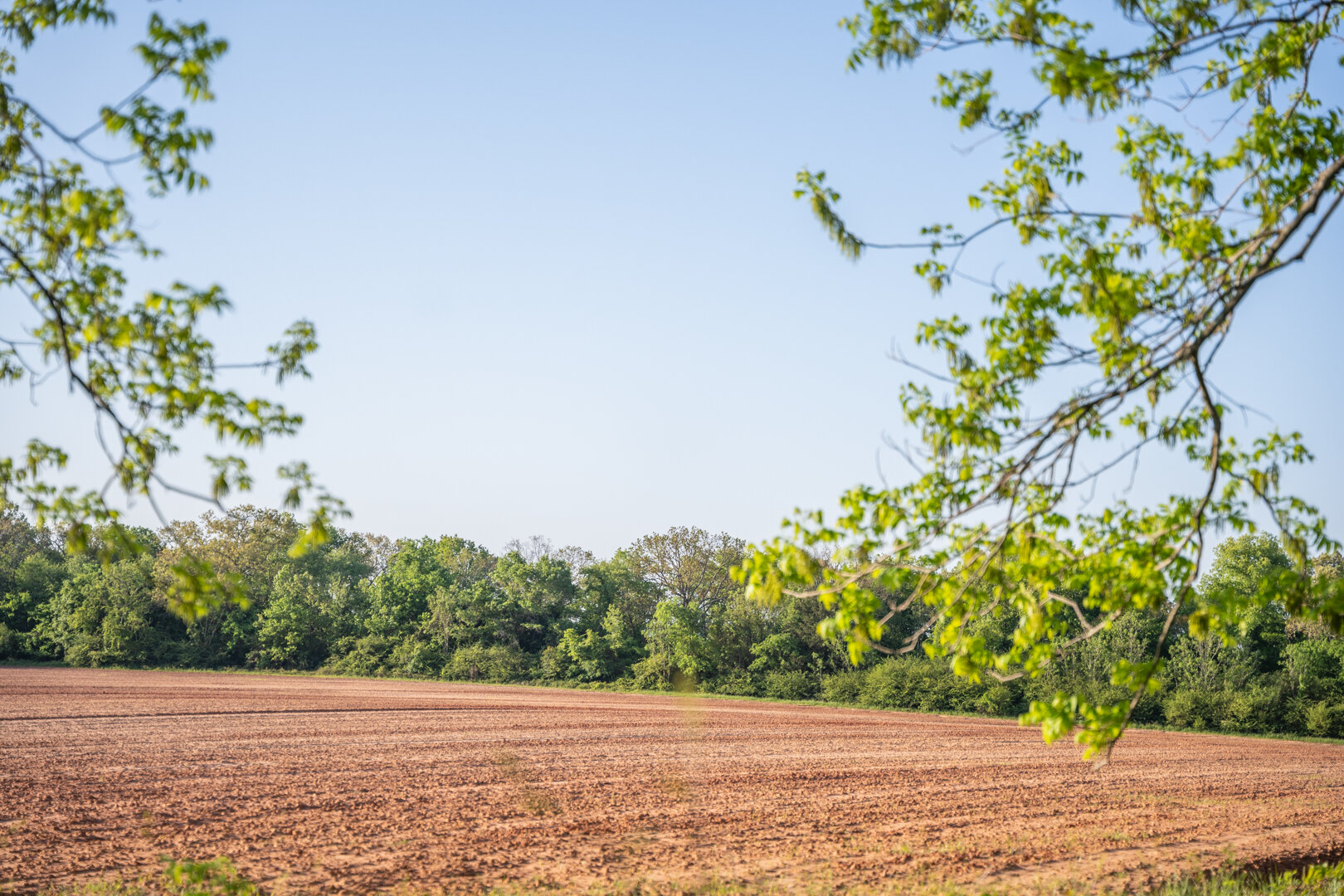 Image for 218+/- Acres Located in Webster County, Georgia - The Wills Estate