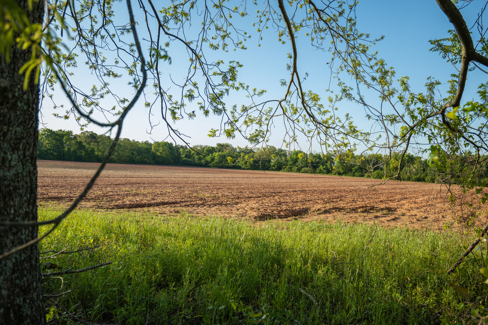 Image for 218+/- Acres Located in Webster County, Georgia - The Wills Estate