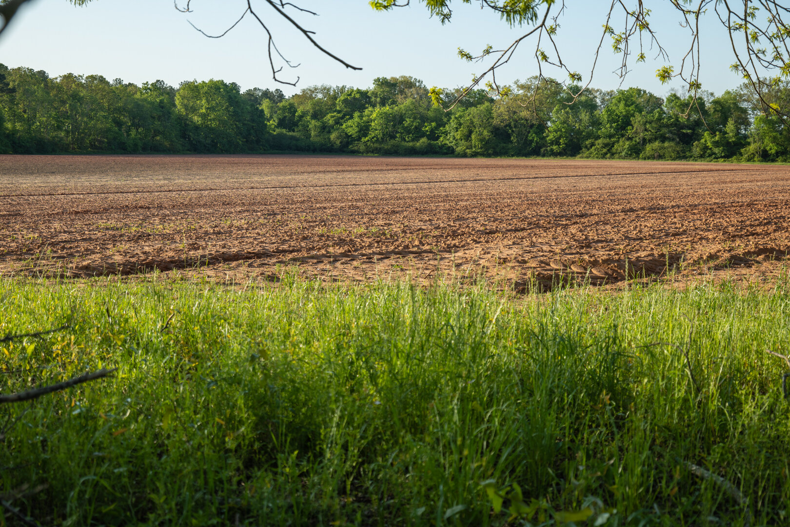 Image for 218+/- Acres Located in Webster County, Georgia - The Wills Estate