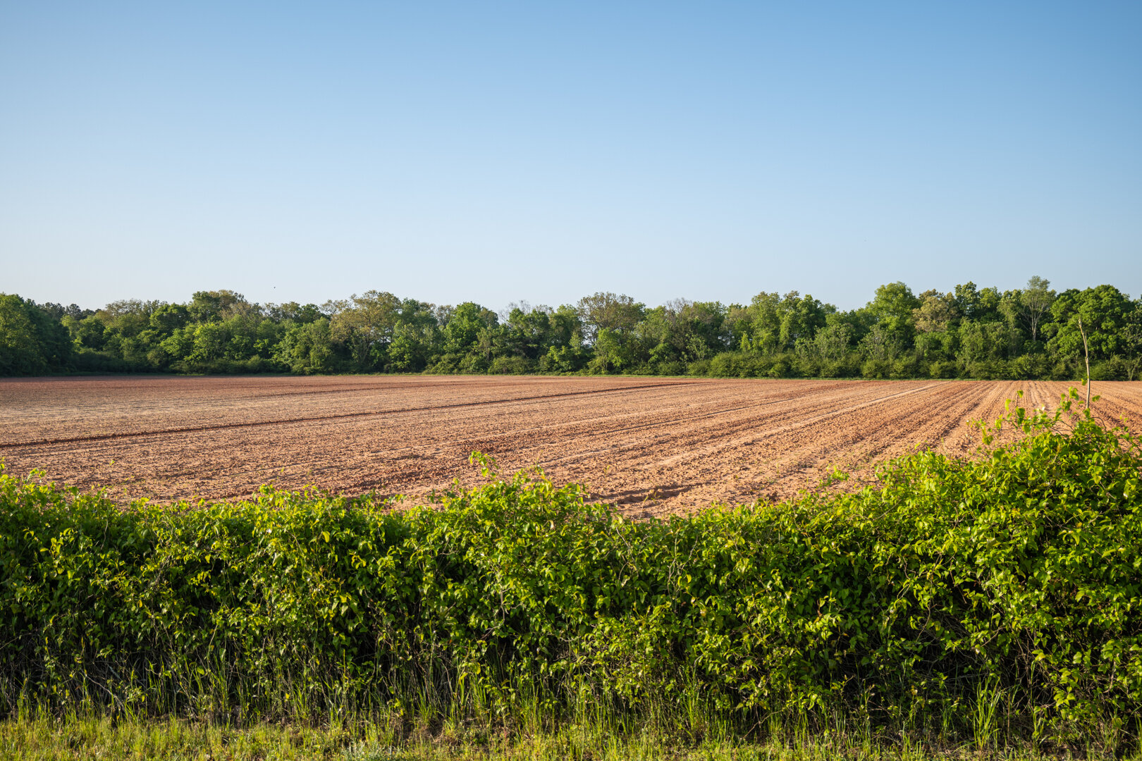 Image for 218+/- Acres Located in Webster County, Georgia - The Wills Estate