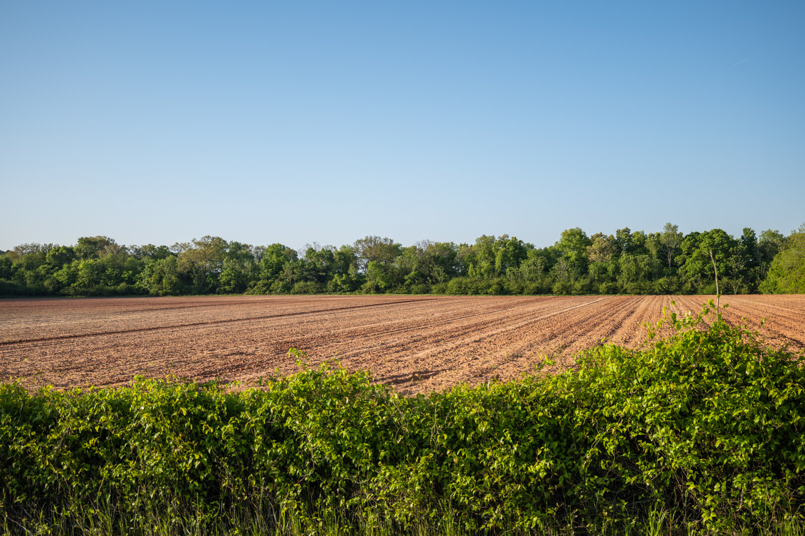 Image for 218+/- Acres Located in Webster County, Georgia - The Wills Estate