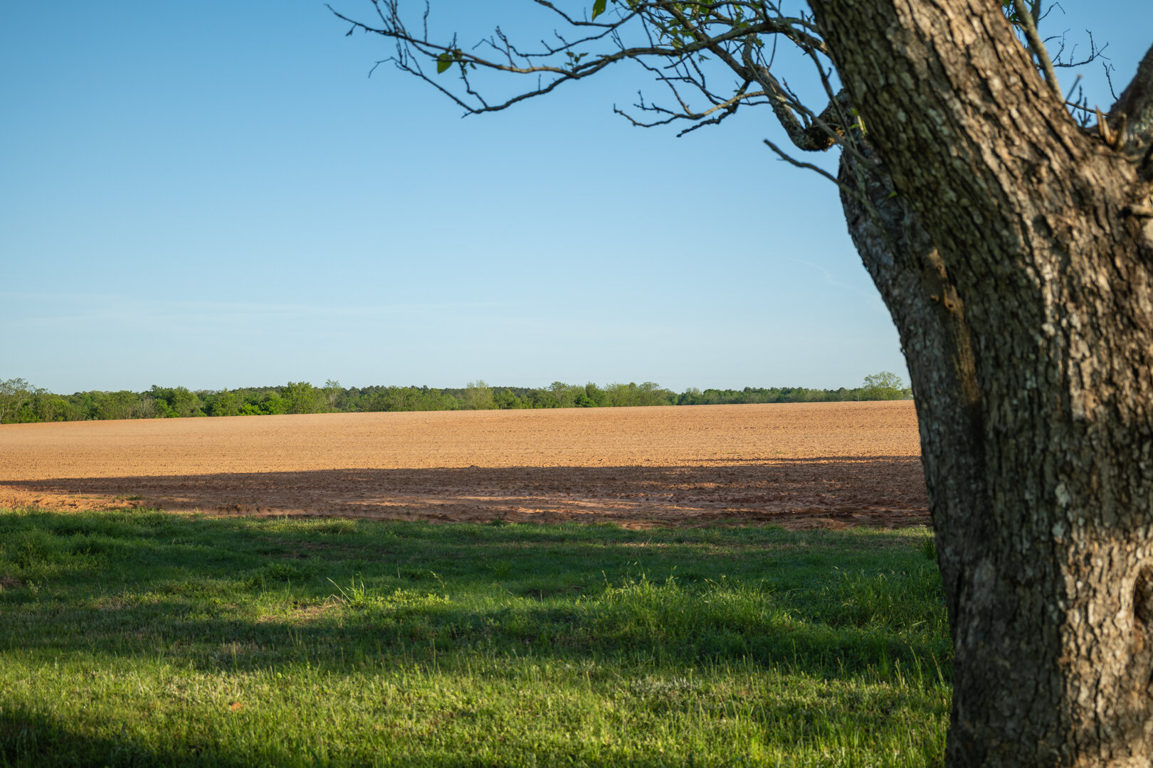 Image for 218+/- Acres Located in Webster County, Georgia - The Wills Estate