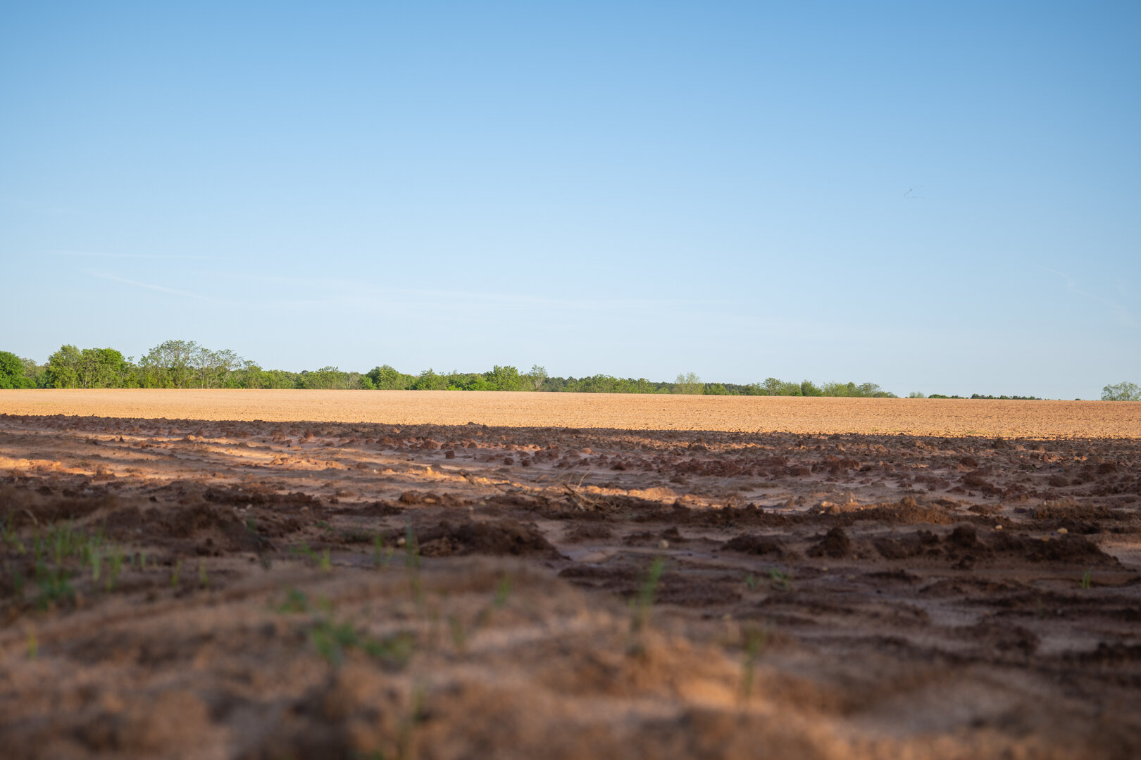 Image for 218+/- Acres Located in Webster County, Georgia - The Wills Estate