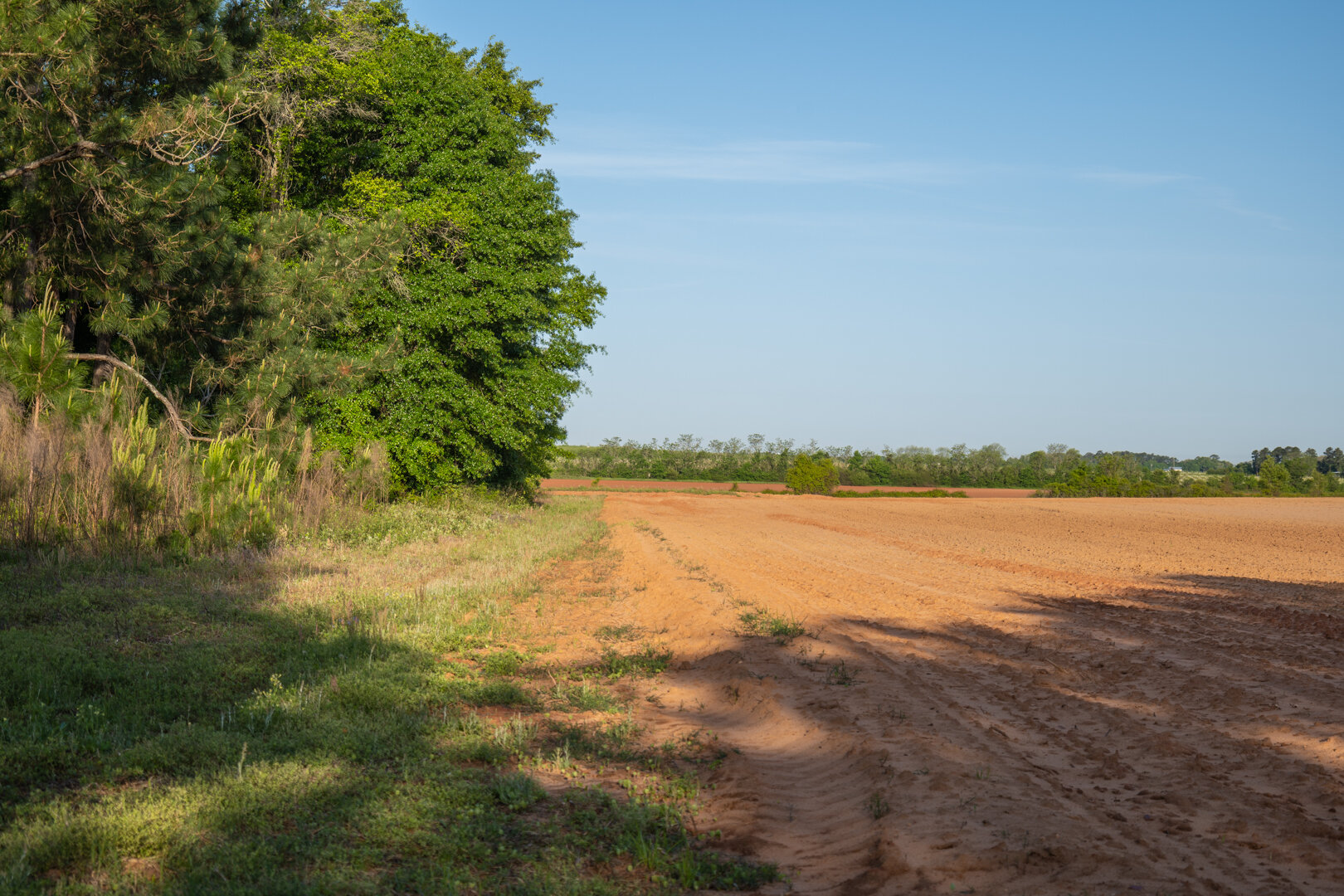 Image for 218+/- Acres Located in Webster County, Georgia - The Wills Estate