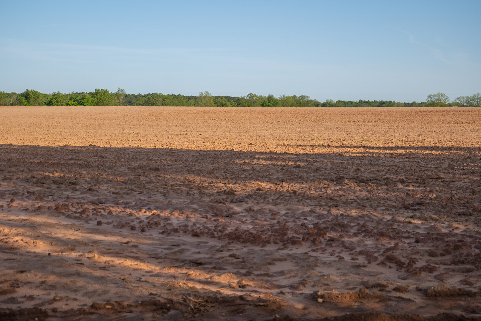 Image for 218+/- Acres Located in Webster County, Georgia - The Wills Estate