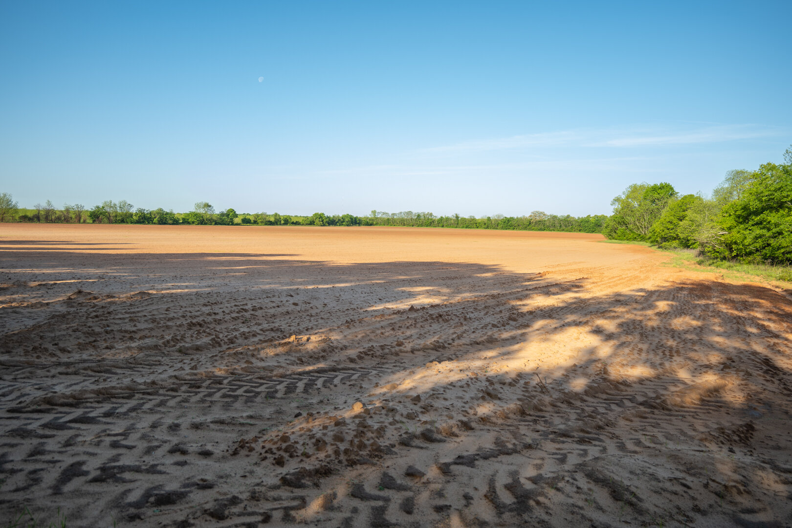 Image for 218+/- Acres Located in Webster County, Georgia - The Wills Estate