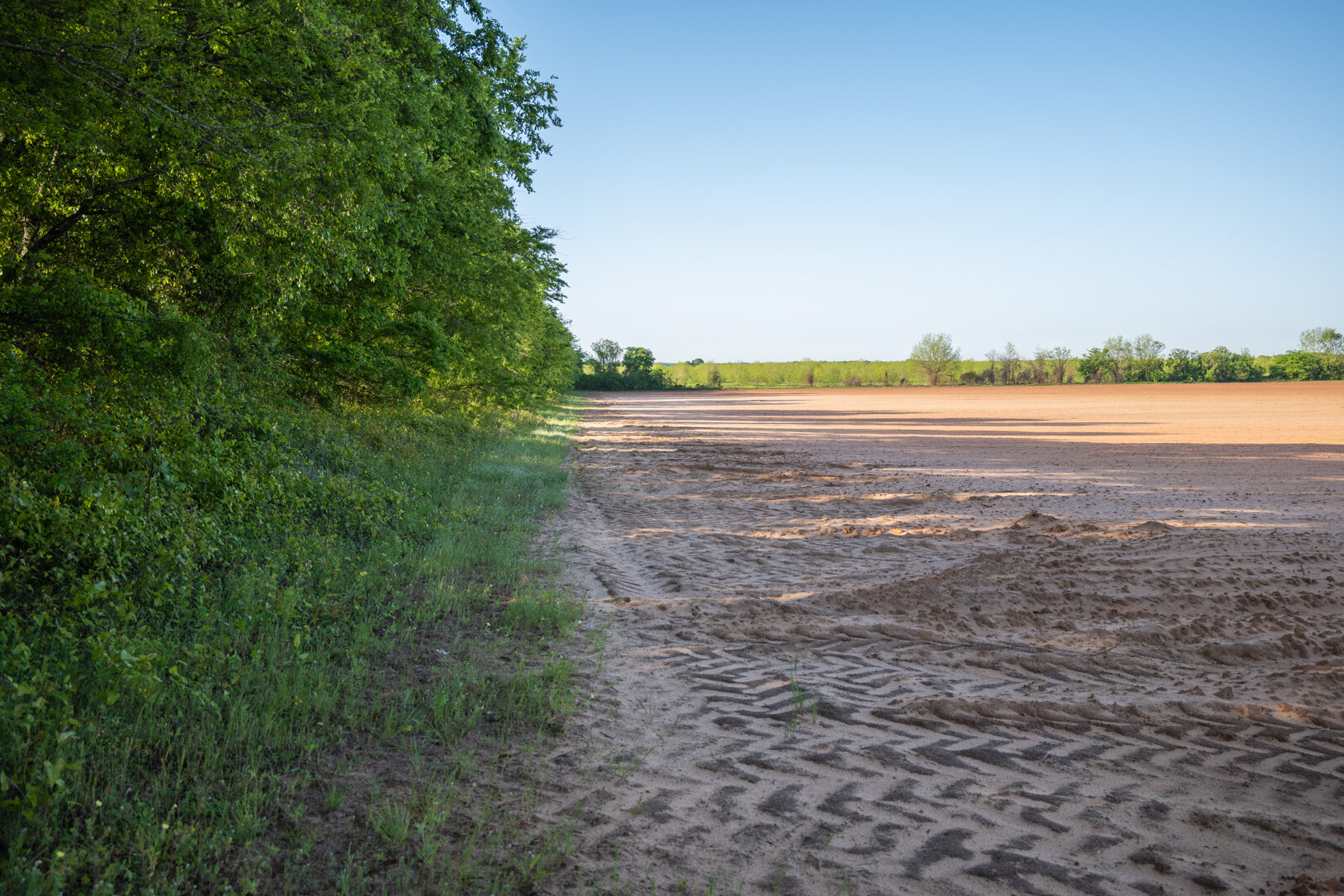 Image for 218+/- Acres Located in Webster County, Georgia - The Wills Estate