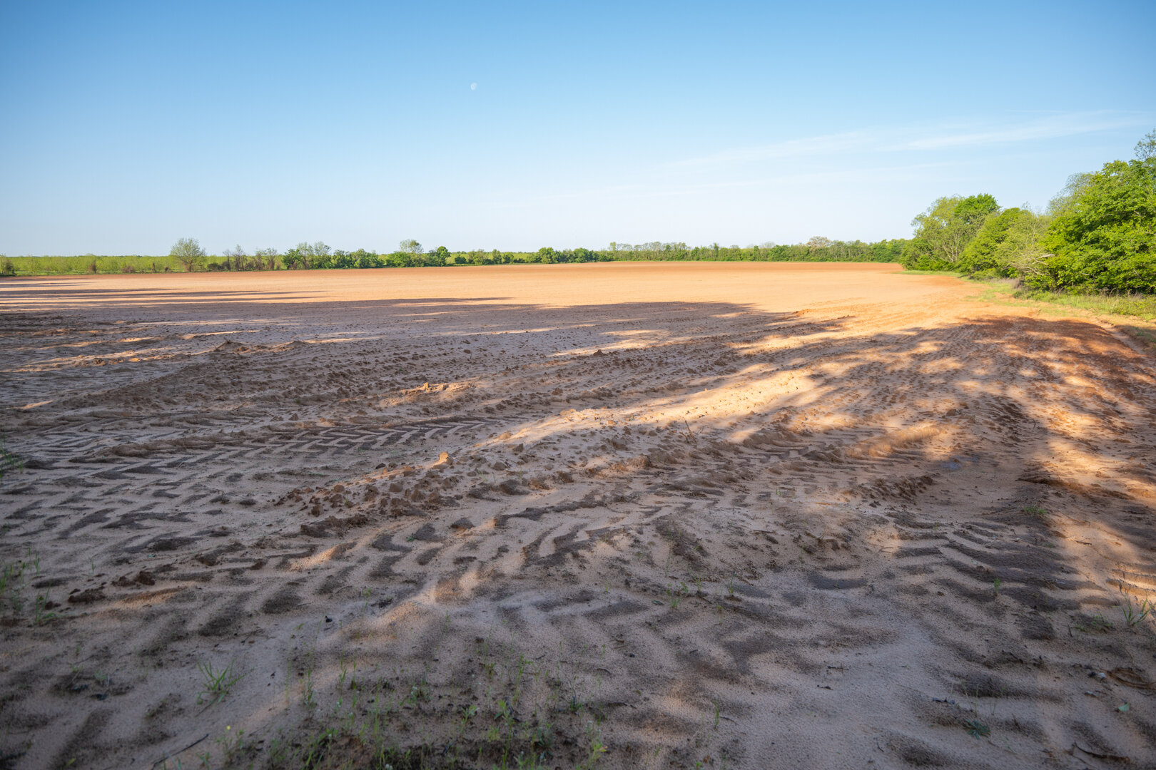 Image for 218+/- Acres Located in Webster County, Georgia - The Wills Estate