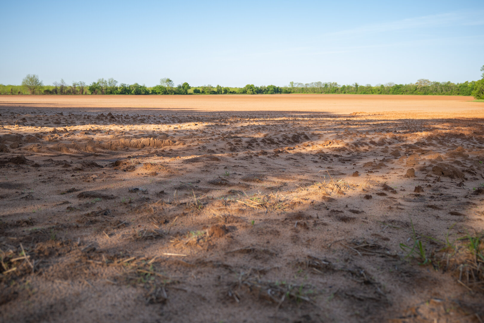 Image for 218+/- Acres Located in Webster County, Georgia - The Wills Estate