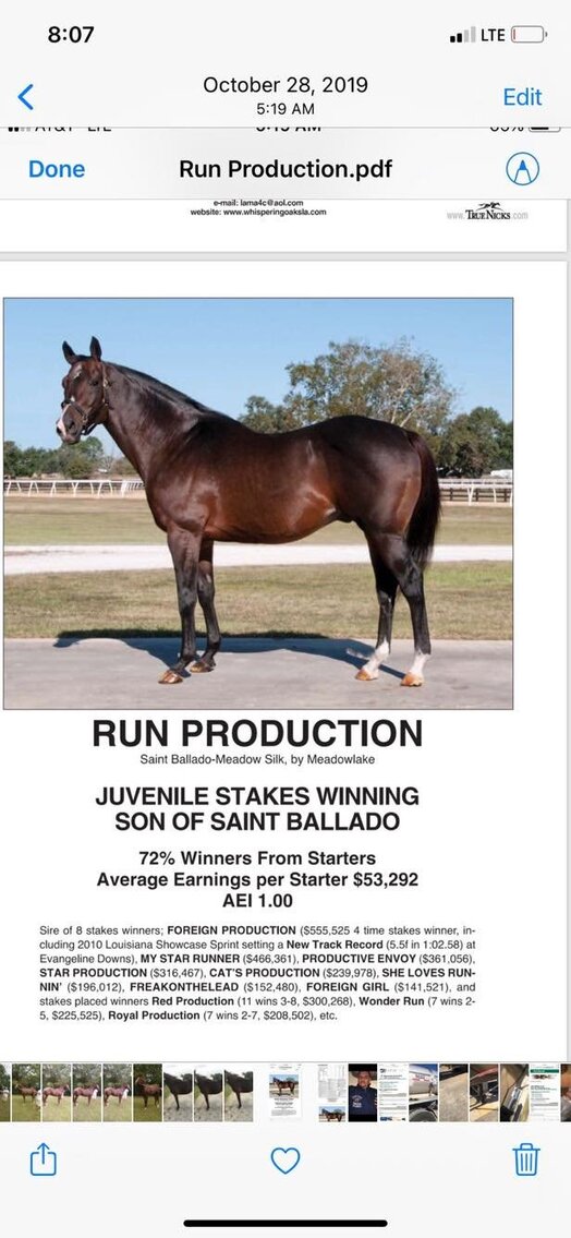 Image for Gulf Regional Livestock Horse Sale  Lucedale, Mississippi  May 28th