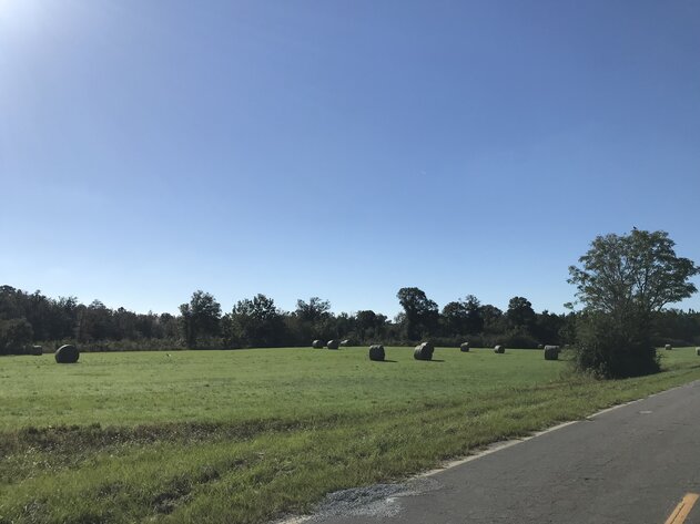 Image for ONLINE AUCTION - 90.51 ACRES LOCATED ON WILLIFORD CROSSING ROAD JUST NORTH OF TREMONT ROAD. SELLING AS A WHOLE