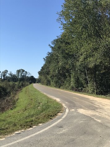 Image for ONLINE AUCTION - 90.51 ACRES LOCATED ON WILLIFORD CROSSING ROAD JUST NORTH OF TREMONT ROAD. SELLING AS A WHOLE