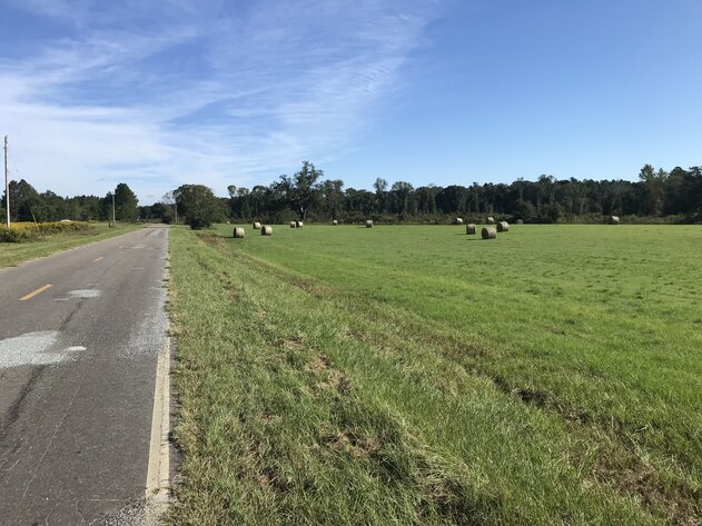 Image for ONLINE AUCTION - 90.51 ACRES LOCATED ON WILLIFORD CROSSING ROAD JUST NORTH OF TREMONT ROAD. SELLING AS A WHOLE