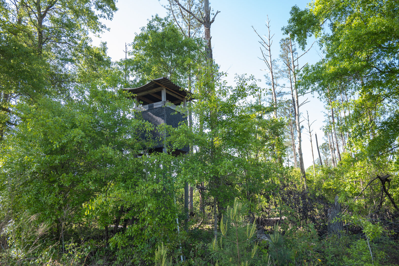 529+/ Acres Located in ster County, The Wills Estate