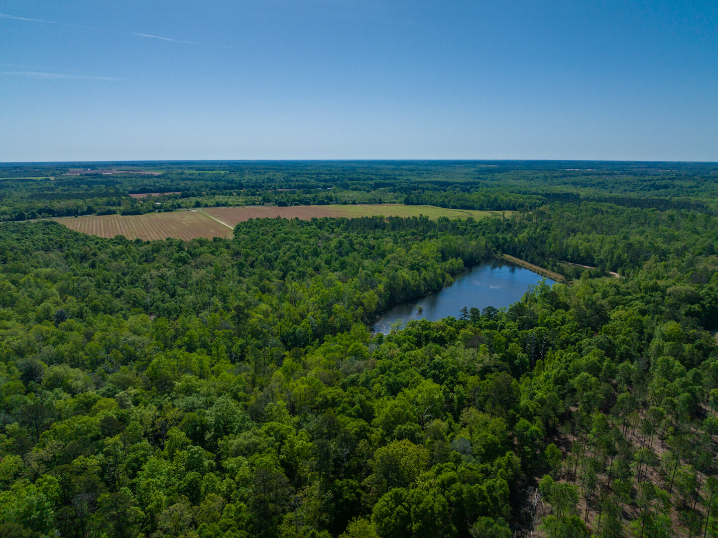 Image for 529+/- Acres Located in Webster County, Georgia - The Wills Estate