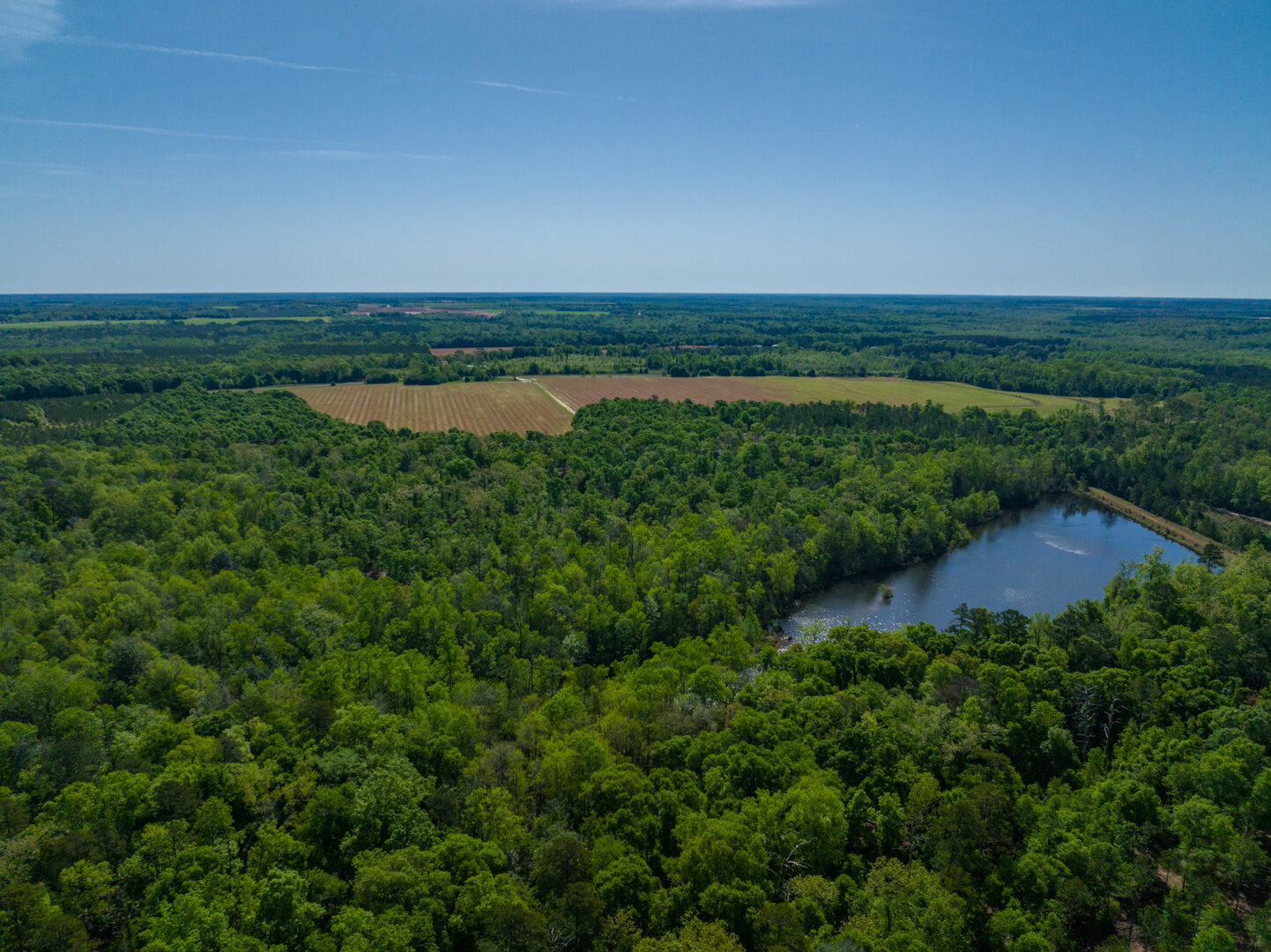 Image for 529+/- Acres Located in Webster County, Georgia - The Wills Estate