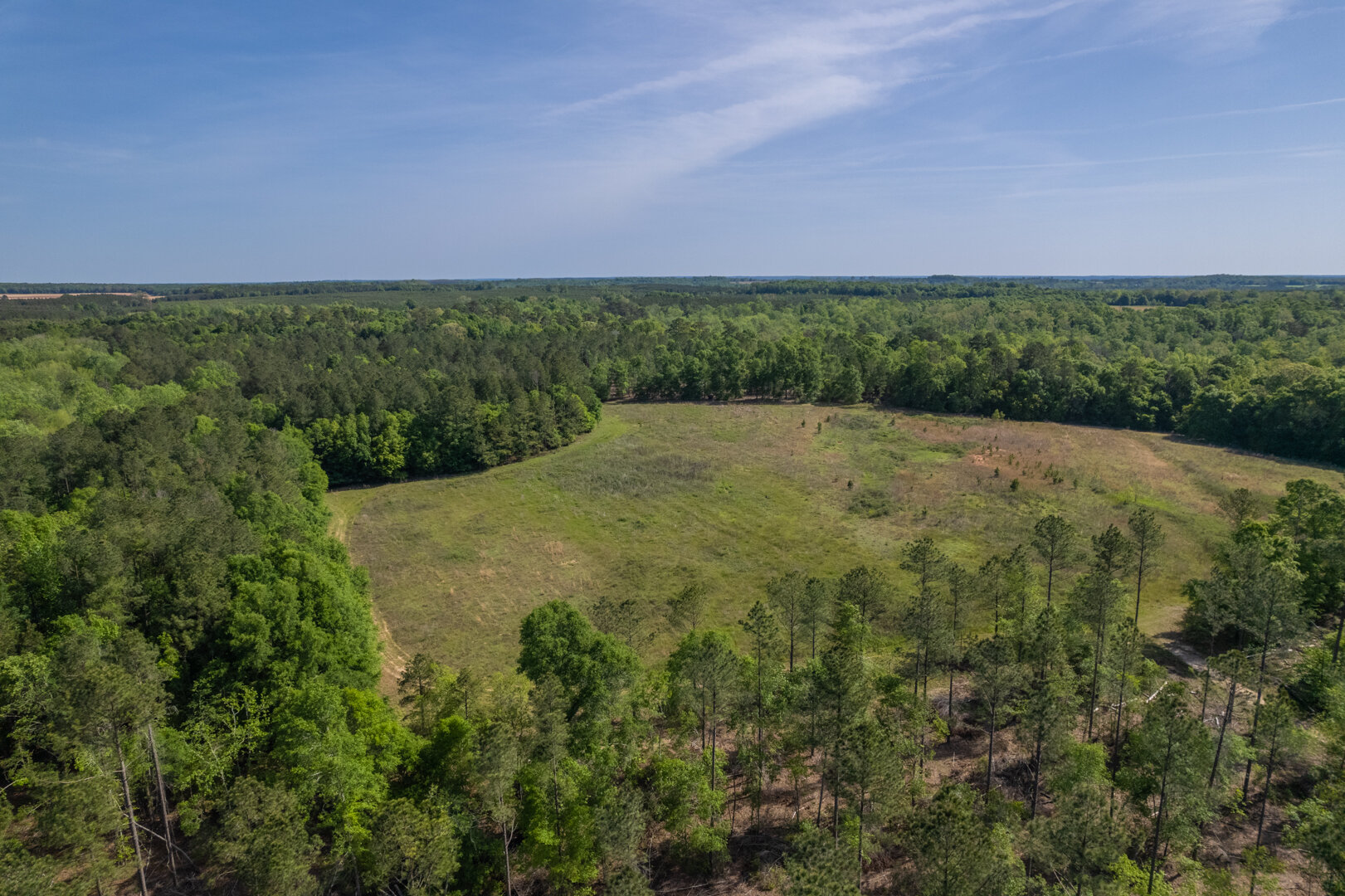 Image for 529+/- Acres Located in Webster County, Georgia - The Wills Estate
