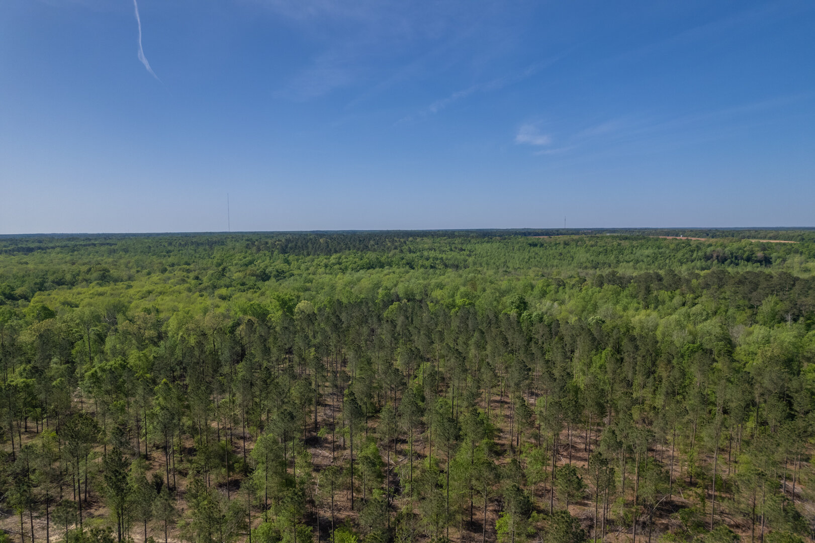 Image for 529+/- Acres Located in Webster County, Georgia - The Wills Estate