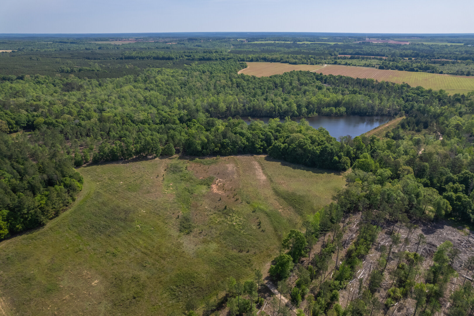 Image for 529+/- Acres Located in Webster County, Georgia - The Wills Estate