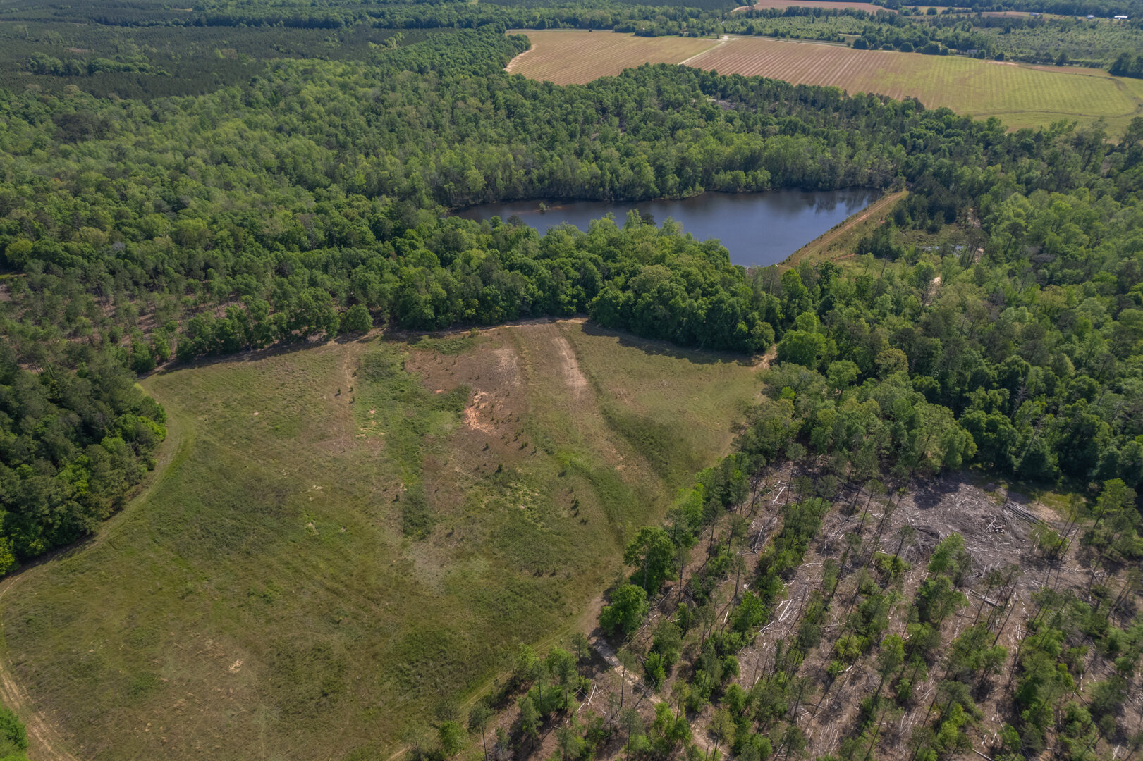 Image for 529+/- Acres Located in Webster County, Georgia - The Wills Estate