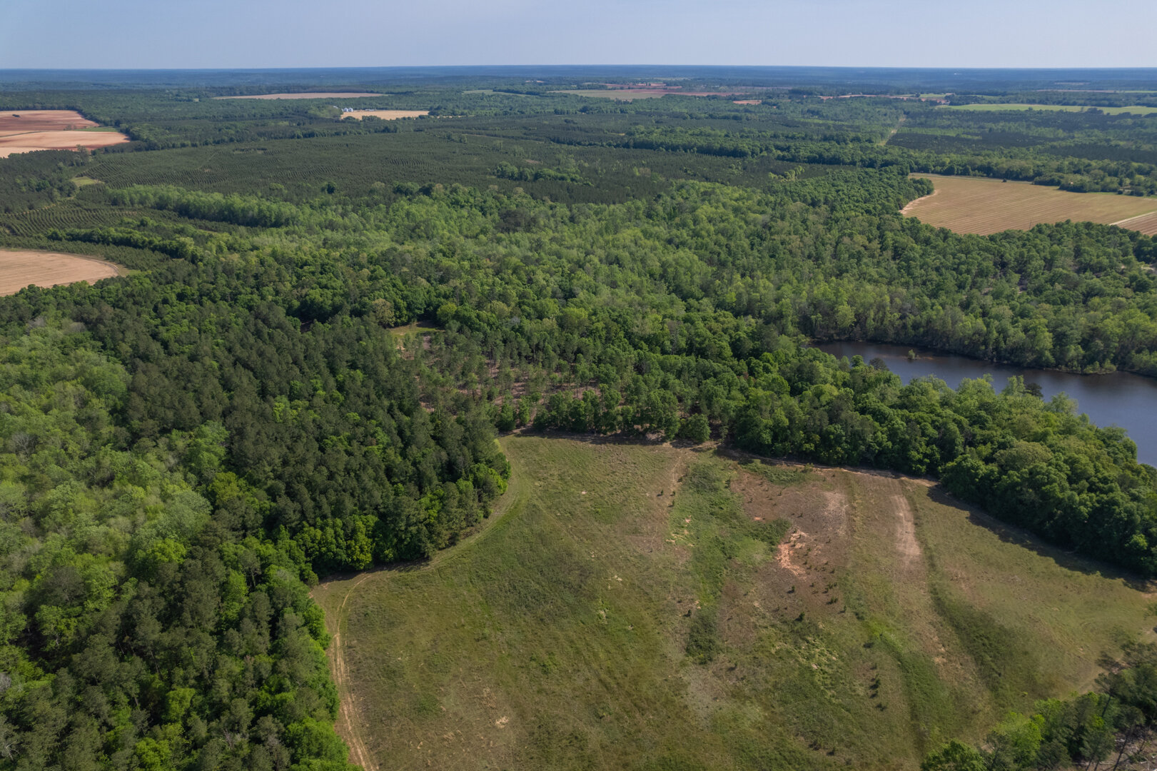 Image for 529+/- Acres Located in Webster County, Georgia - The Wills Estate