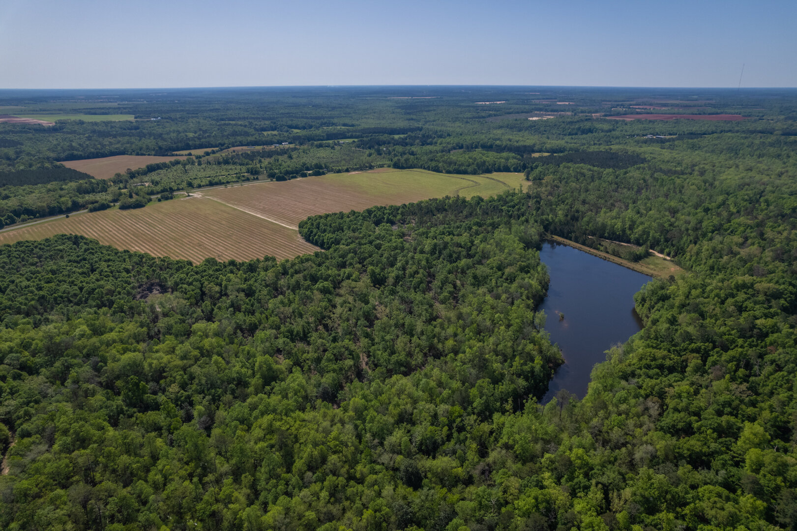Image for 529+/- Acres Located in Webster County, Georgia - The Wills Estate