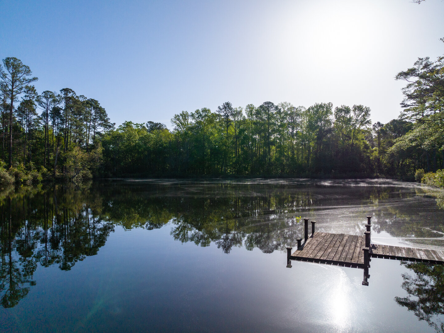 Image for 529+/- Acres Located in Webster County, Georgia - The Wills Estate