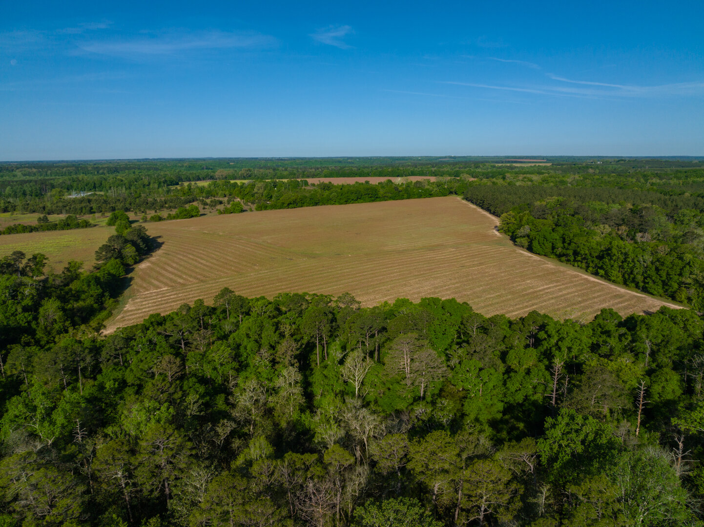Image for 529+/- Acres Located in Webster County, Georgia - The Wills Estate