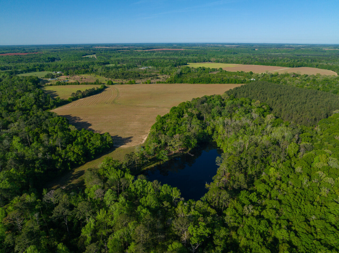Image for 529+/- Acres Located in Webster County, Georgia - The Wills Estate