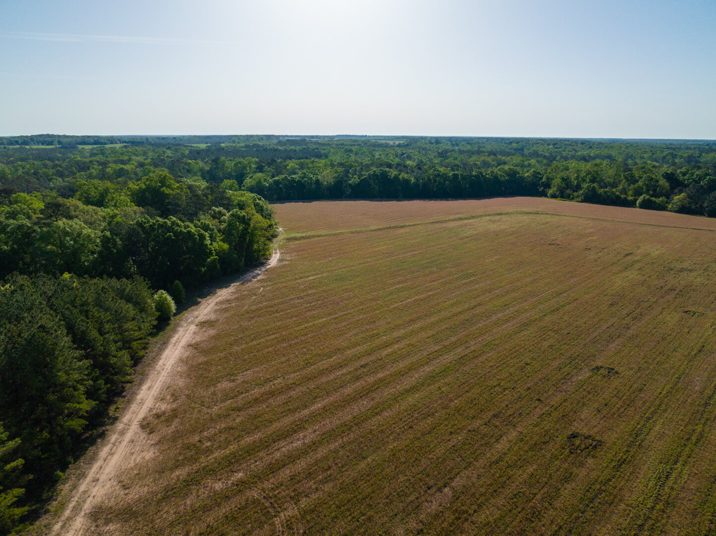 Image for 529+/- Acres Located in Webster County, Georgia - The Wills Estate