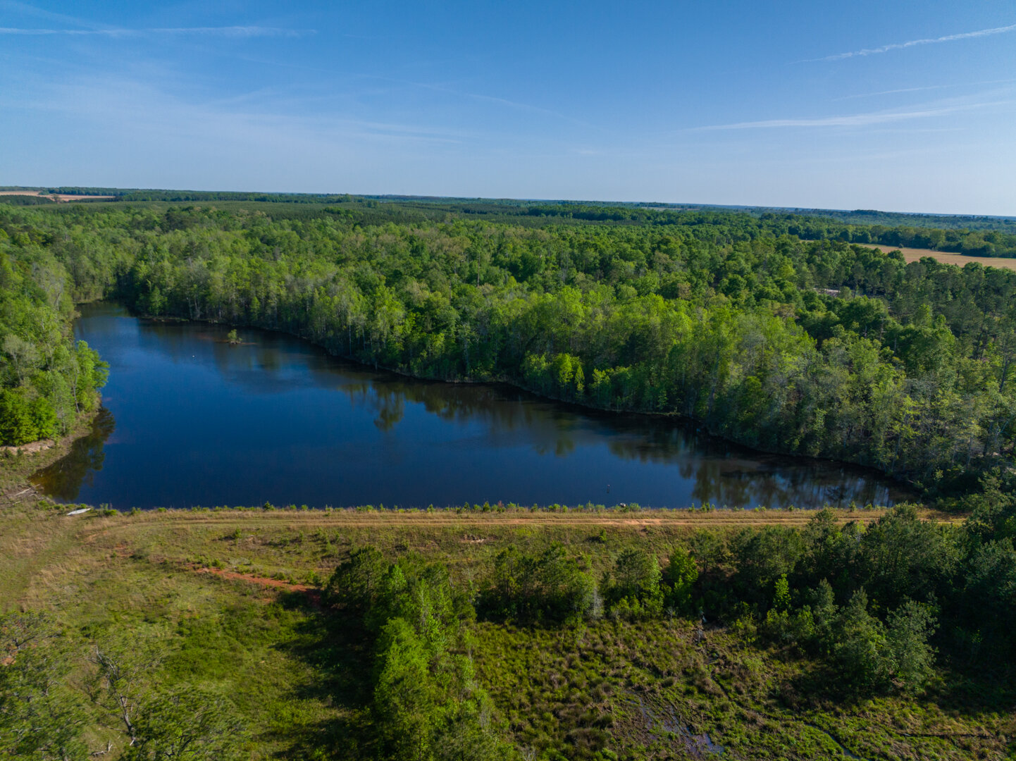 Image for 529+/- Acres Located in Webster County, Georgia - The Wills Estate
