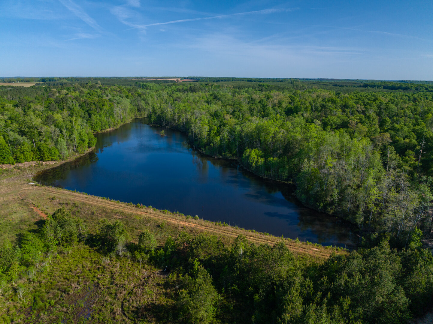 Image for 529+/- Acres Located in Webster County, Georgia - The Wills Estate
