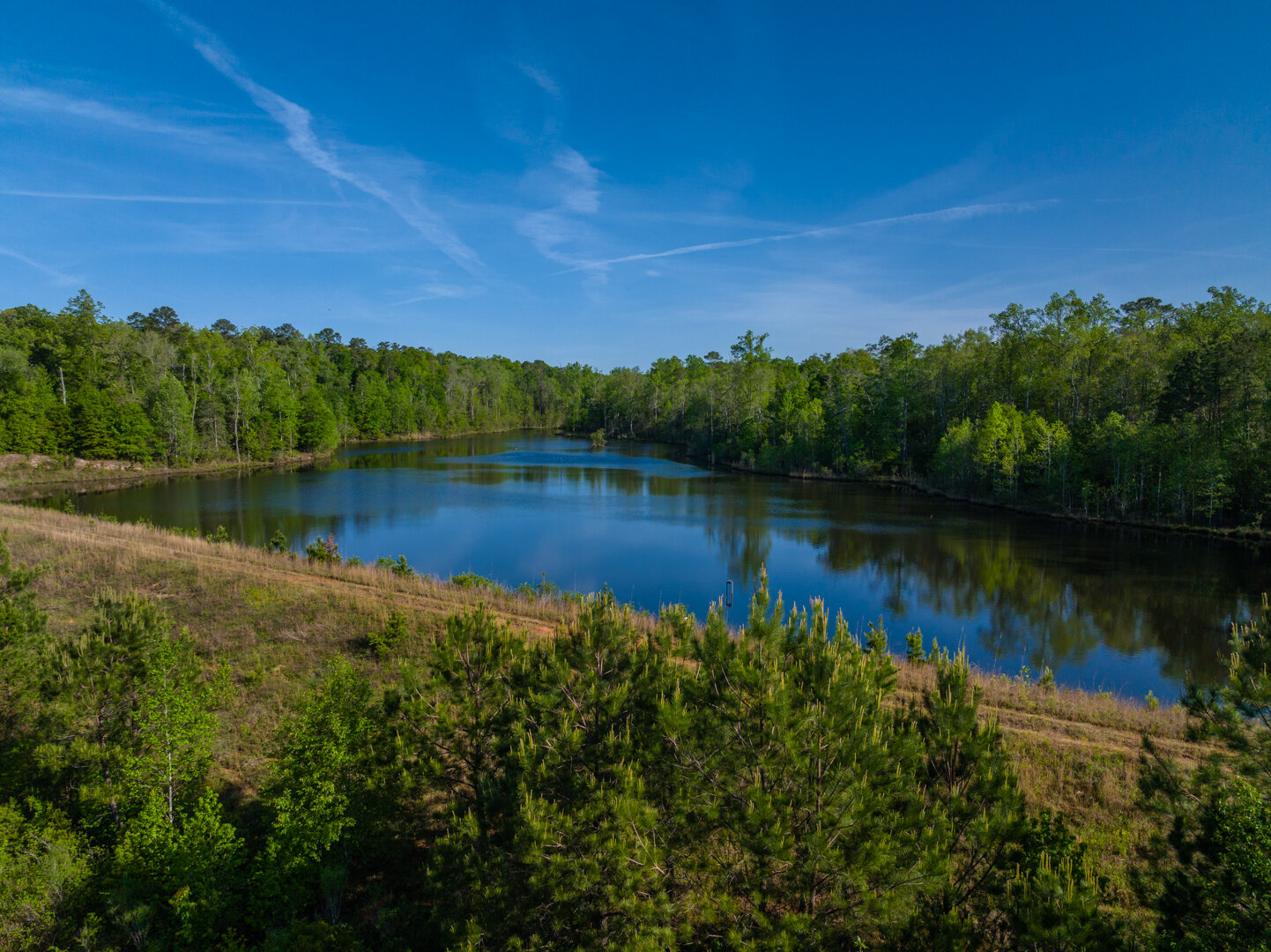 Image for 529+/- Acres Located in Webster County, Georgia - The Wills Estate