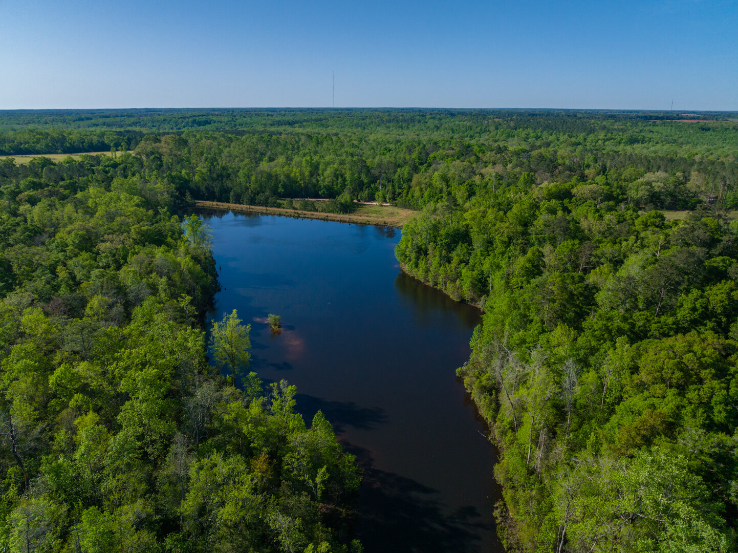 Image for 529+/- Acres Located in Webster County, Georgia - The Wills Estate