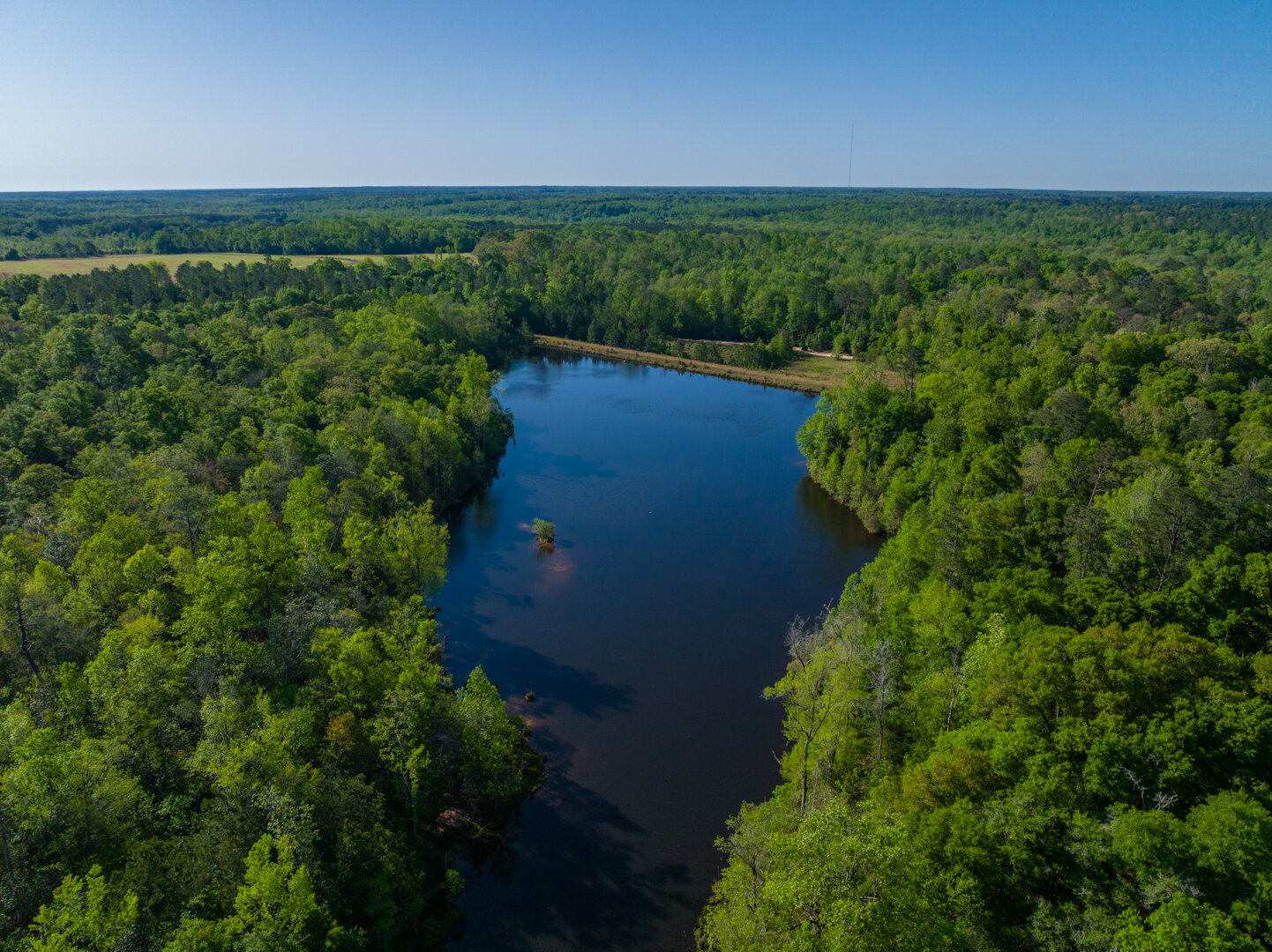 Image for 529+/- Acres Located in Webster County, Georgia - The Wills Estate
