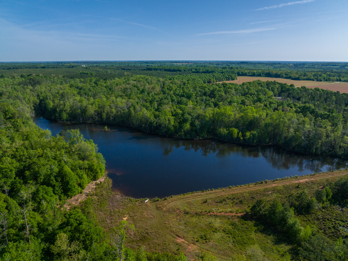 Image for 529+/- Acres Located in Webster County, Georgia - The Wills Estate